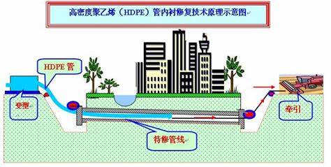 OIP-C.jpg